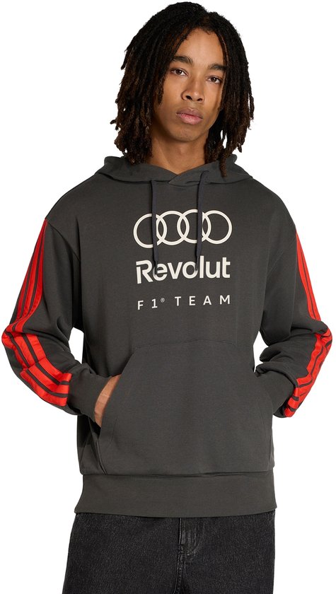Adidas Performance Audi Revolut F1 Team Dna French Terry Hoodie - Heren - Zwart van Merkloos