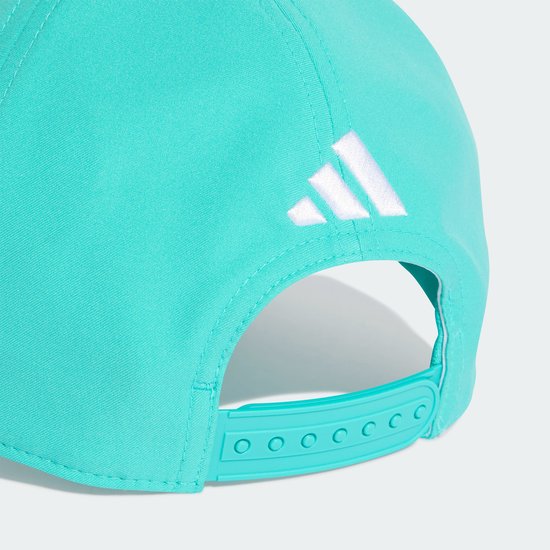 adidas Performance MERCEDES - AMG PETRONAS FORMULA 1 TEAM COUREURSPET - Unisex - Turquoise van Merkloos