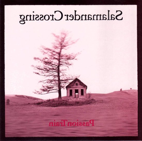 Passion Train - Ergonomische Muis - PC Gaming - Ultralage Latentie - 18K DPI - Zwart van Merkloos