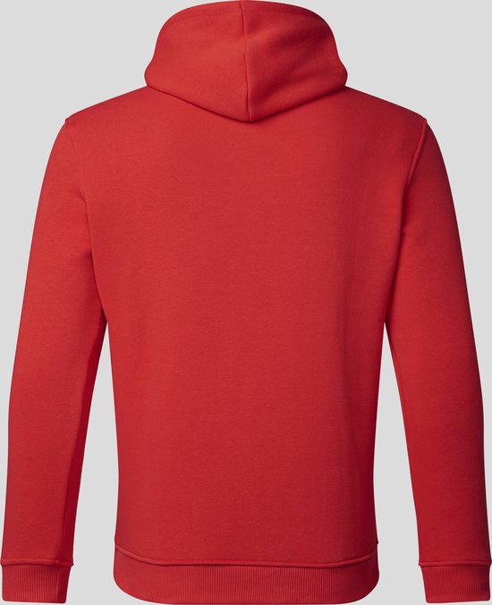 Red Bull Racing Logo Hoody Rood 2023 S - Max Verstappen - Sergio Perez - Oracle van Red Bull