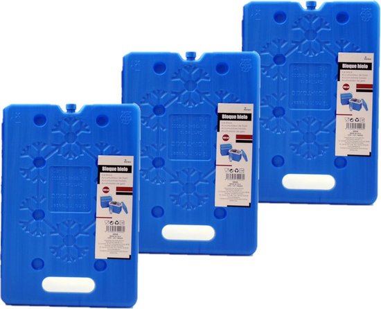 Set van 10x stuks koelelementen 20 x 2 x 30 cm blauw - Koelblokken/koelelementen voor koeltas/koelbox van HEMA